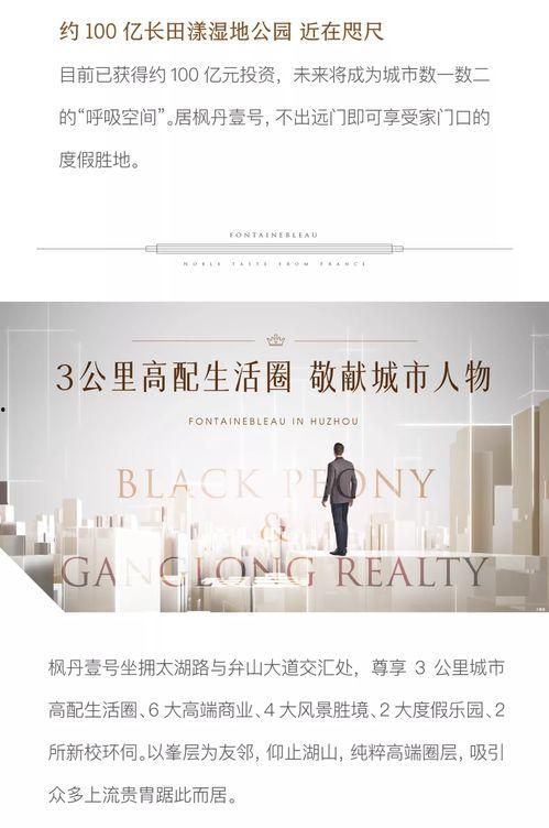 枫丹音乐爆料最新消息新闻,最新音乐动态揭秘