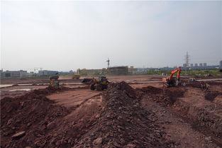 广安市岳池新闻头条最新,聚焦岳池发展新动态，共话乡村振兴新篇章