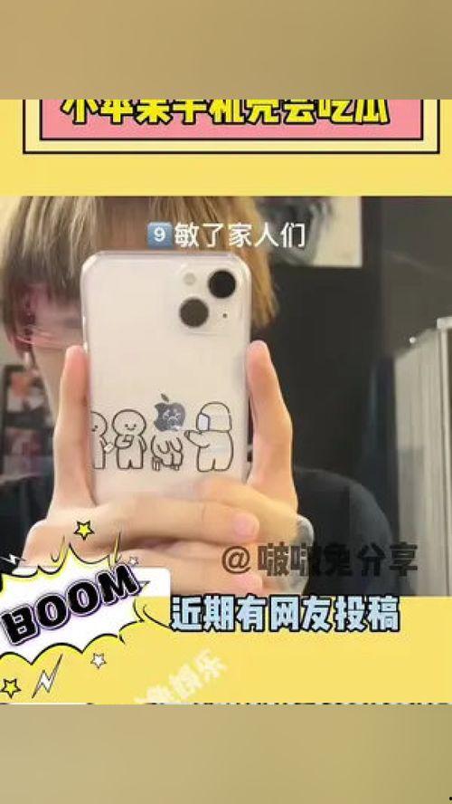 吃瓜手机壳iphone,吃瓜手机壳iPhone，个性十足彰显个性