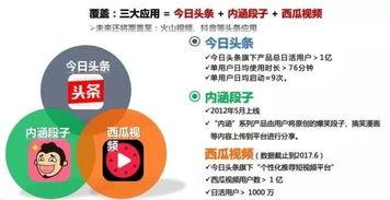 头条推广产品转化,揭秘高效转化策略与成果展示