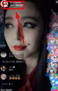 明星直播在哪看,精彩瞬间，尽在掌握——揭秘各大平台观看攻略