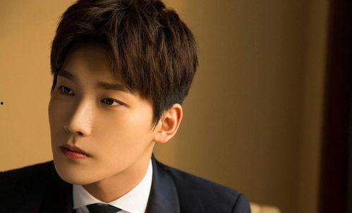 男街头网红歌手排行,揭秘男网红歌手的火热风采