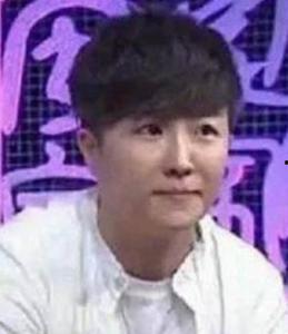 大连明星晓丹,闪耀舞台的璀璨之星