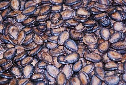 蛇信子吃瓜群,揭秘网络社交圈的趣味与争议