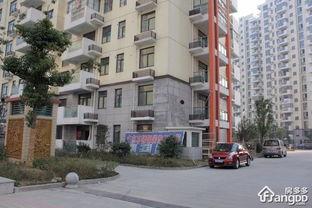 莱茵河畔的头条,聚焦最新动态，解码欧洲经济脉搏