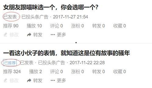 自己在头条上怎么拍照,如何拍出吸睛照片的秘诀解析