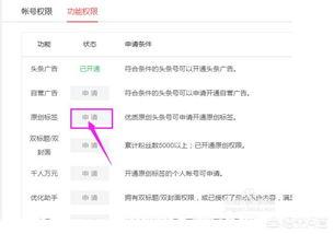 头条账号登录地址在哪里,头条账号登录地址，轻松掌握账号安全