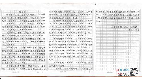 网红效应美与丑作文,美丑界限的模糊与反思