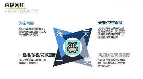 网红推广简介文案,打造爆款内容的秘诀