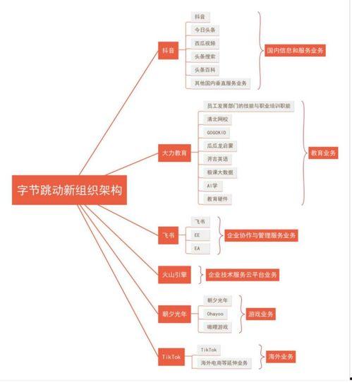 今日头条业务线调整,打造多元化内容生态新格局