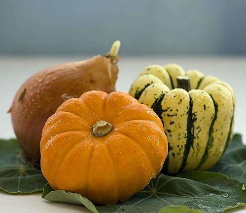 常吃方瓜的好处