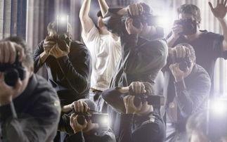 早期爆料赛诺视频,全新游戏玩法与角色前瞻