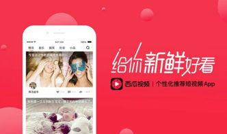 西瓜视频咋才能上头条,掌握这些技巧，让你的视频脱颖而出！