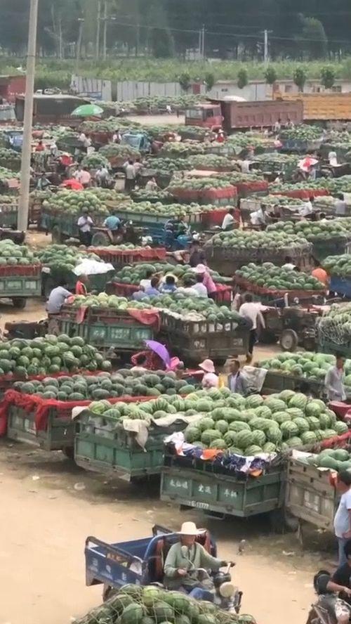 成都吃瓜基地地址,揭秘这座美食天堂的独特风味聚集地