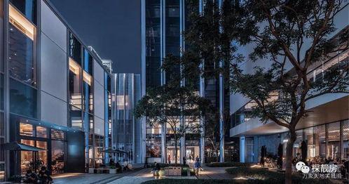 深圳头条动态图片制作,动态图揭示城市活力瞬间