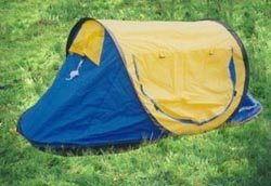 冰淇淋帐篷明星照片,一场视觉盛宴