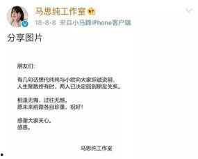 赞扬明星的文案,致敬璀璨明星风采