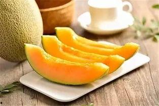 网红老师说的哈密瓜