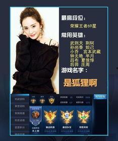 游戏明星们的名字,游戏明星们的璀璨风采