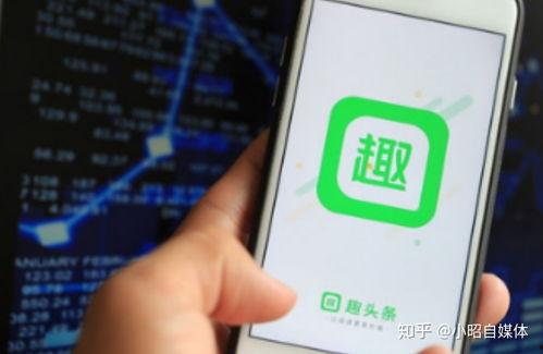 头条玩什么领域好呢,玩什么最火？