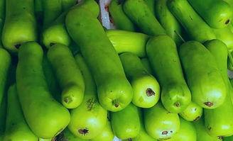 发烧了吃蒲瓜,发烧时的天然清凉良方