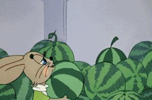 吃瓜回响,揭秘网络舆论背后的真相与影响