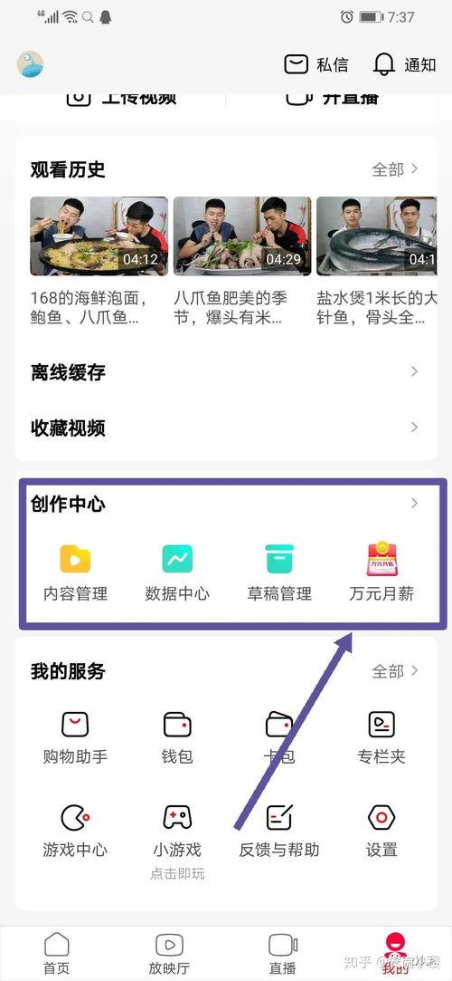 头条怎么加个视频,揭秘背后故事