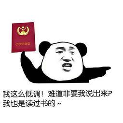 没问题的网红语录,没问题的生活态度