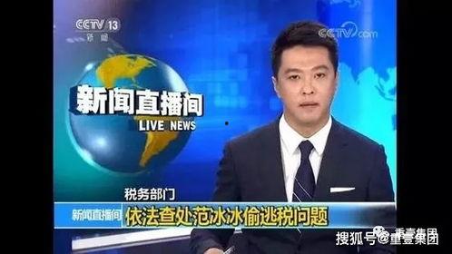 逃税明星有哪些,揭秘那些被曝光的逃税明星