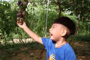 宝妈娱乐圈吃瓜