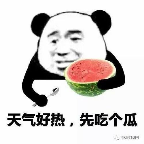 娱乐吃瓜酱网络发达,揭秘娱乐圈背后的秘密与热点