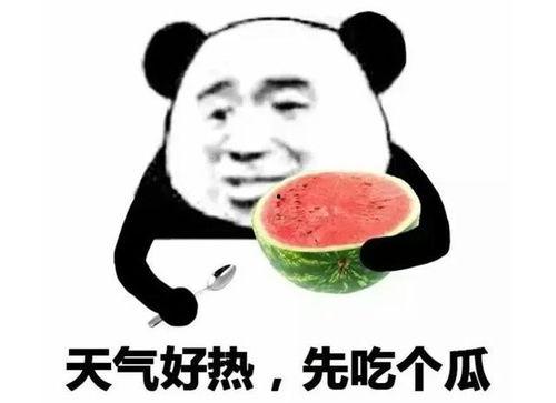 一起吃瓜表情包,揭秘网络社交中的趣味与讽刺
